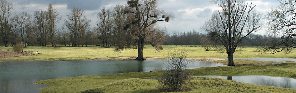 MTC Engineering Flood Risk Assessments