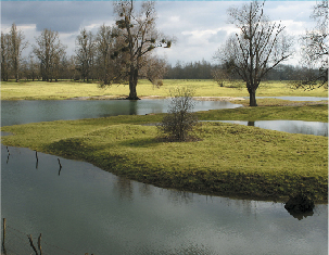 Flood Risk Assessment